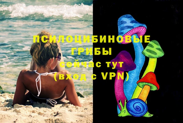 дурь Алексеевка