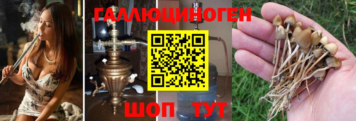 Псилоцибиновые грибы мицелий  Вход с VPN  Тейково  Псилоцибиновые грибы мухоморы 